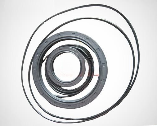 Zoomlion Concrete Pump Parts BREVINI ET3150 Reducer Seal Kits 001600001A0000085