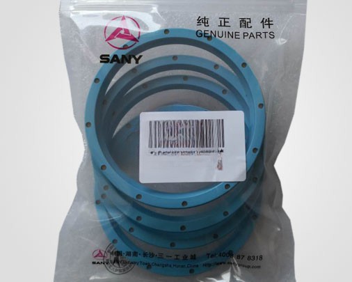 SANY Concrete Pump Parts SANY Concrete Pump Dust Ring B23010100185