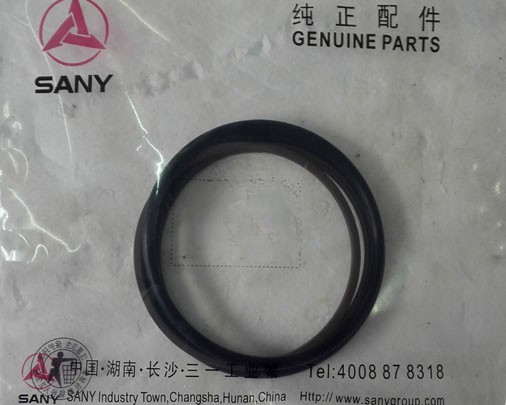 SANY Concrete Pump Parts SANY Concrete Pump OD Seal Ring B230101000149