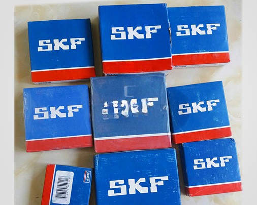 Putzmeister PTO SKF Bearing