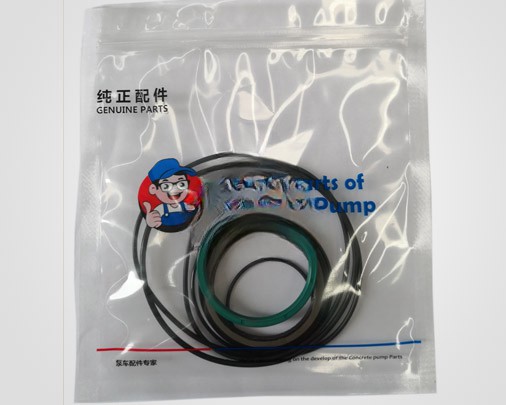 Zoomlion Seal Kits For Mixing Motor Agitator Motor SY-1000 1010100185